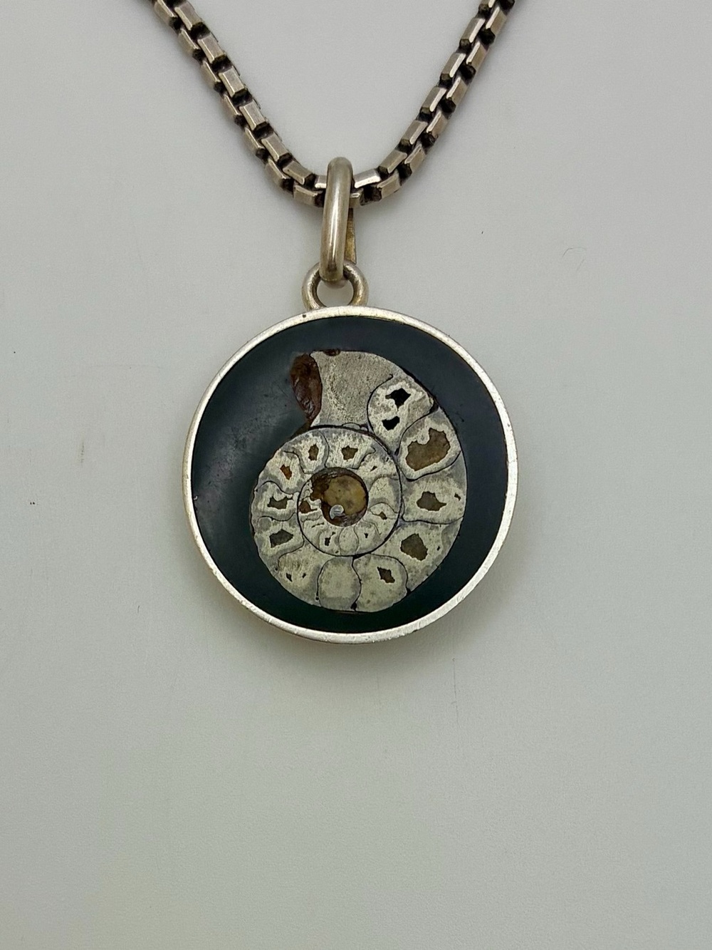 Silver Ammonite Fossil Pendant Necklace